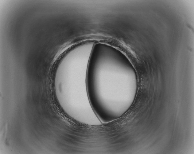 X0000097291352200802151049