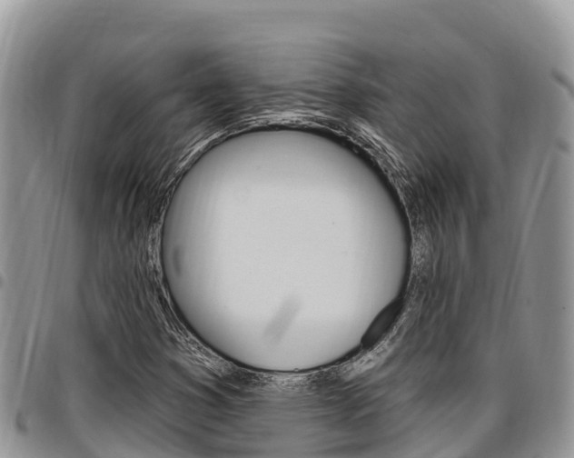 X0000097291353200802151049