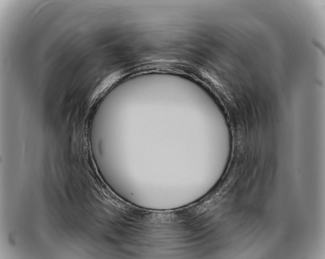 X0000097291354200802151049