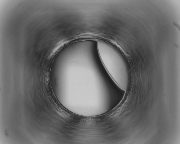 X0000097291355200802151049