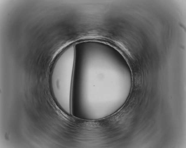 X0000097291356200802151049