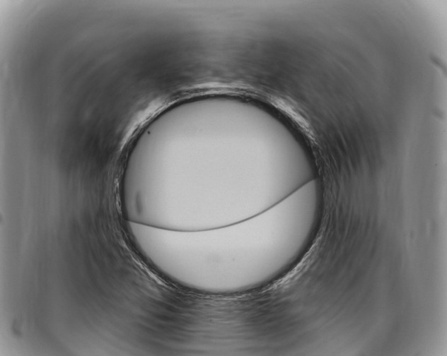 X0000097291357200802151049