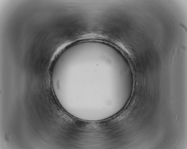 X0000097291358200802151049