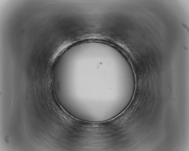 X0000097291359200802151049