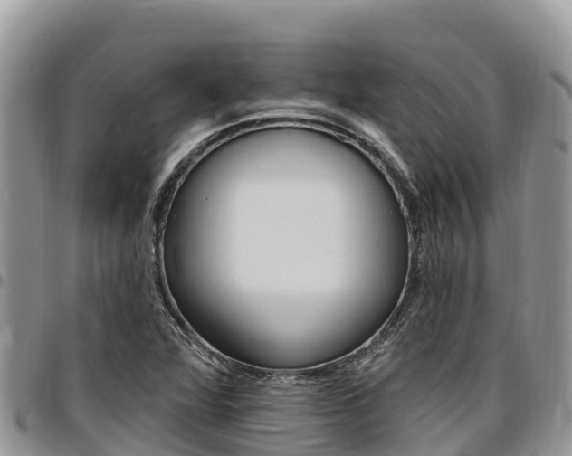 X0000097291360200802151049