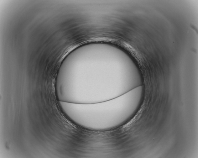 X0000097291361200802151048