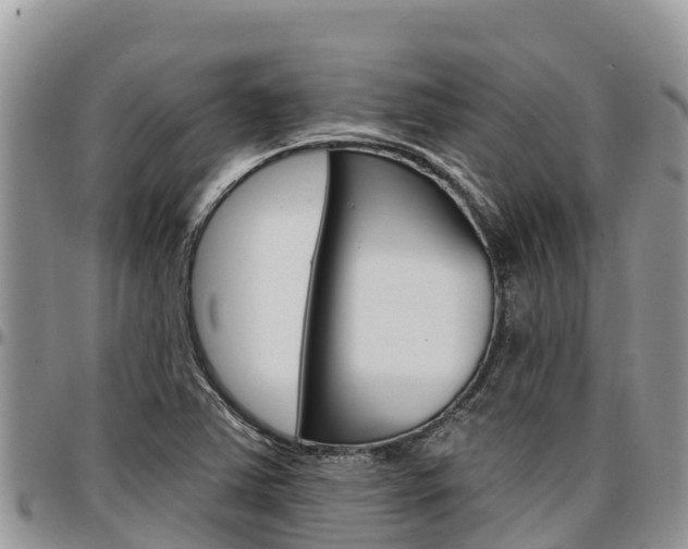 X0000097291363200802151048