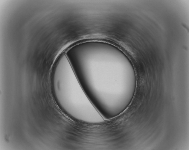 X0000097291364200802151048