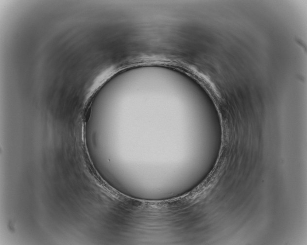 X0000097291365200802151048