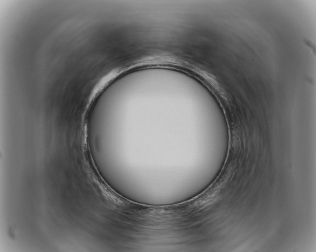 X0000097291366200802151048