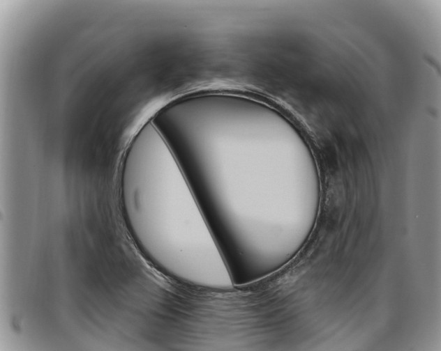 X0000097291367200802151048