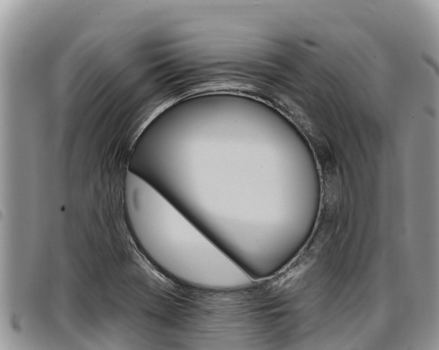 X0000097291369200802151048