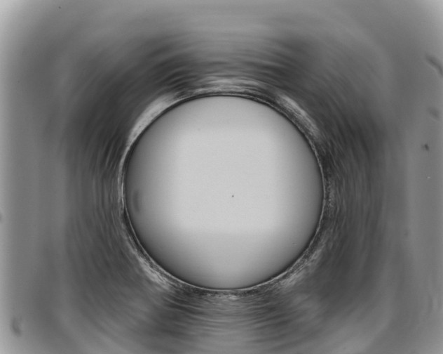 X0000097291370200802151048