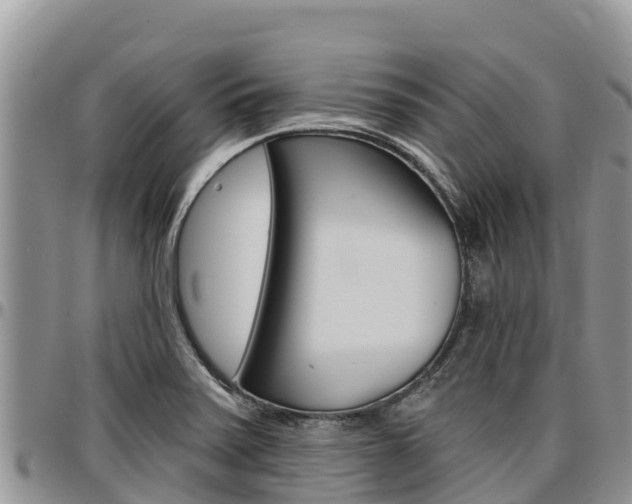 X0000097291371200802151048