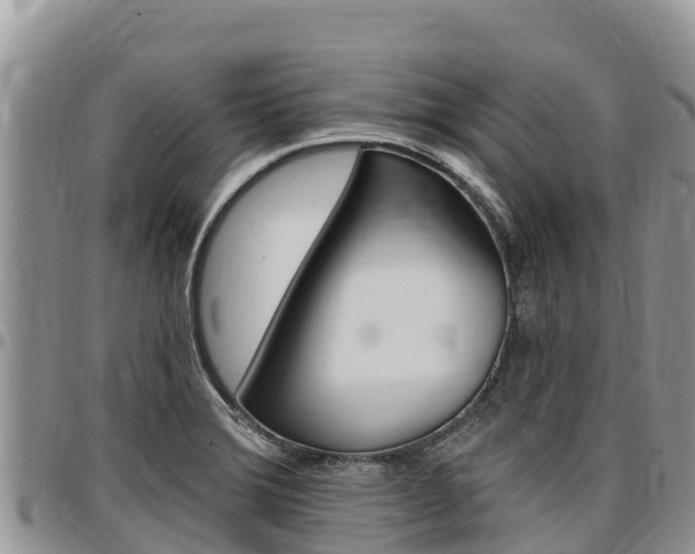 X0000097291372200802151048