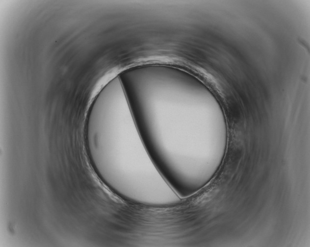 X0000097291373200802151048
