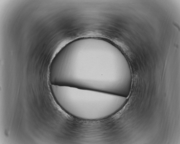 X0000097291374200802151048