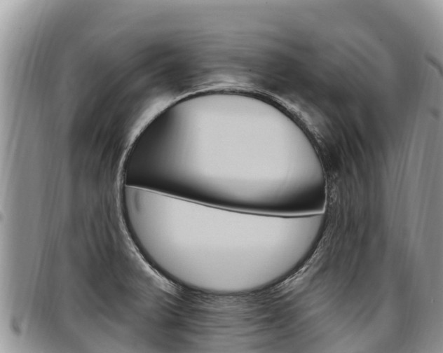X0000097291375200802151048