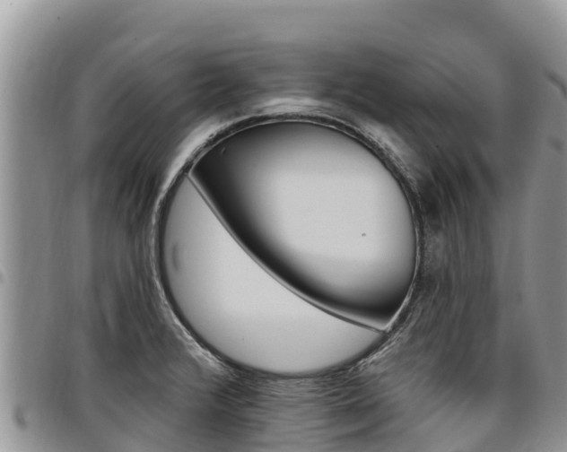 X0000097291376200802151048