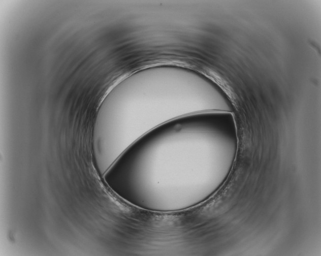 X0000097291377200802151048