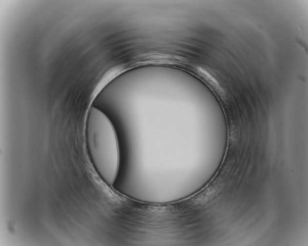 X0000097291378200802151048