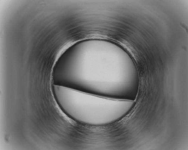 X0000097291379200802151048