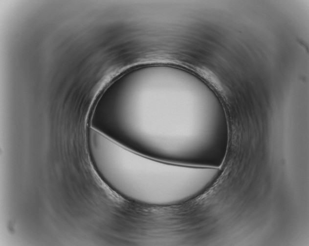 X0000097291380200802151048