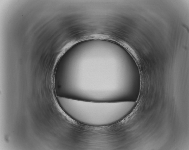 X0000097291381200802151048