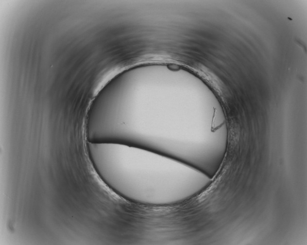 X0000097291382200802151048