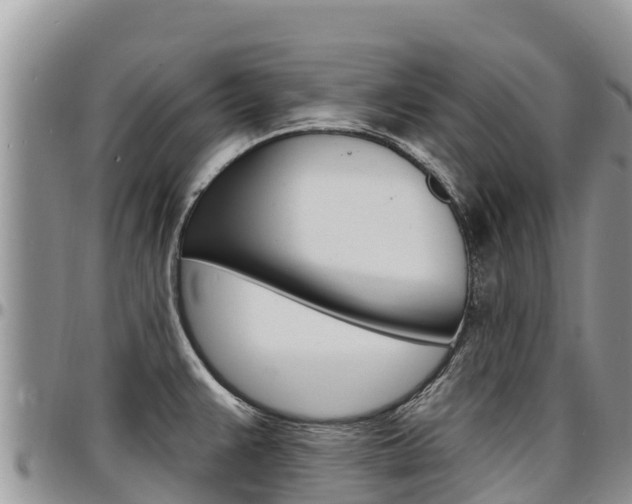 X0000097291383200802151048