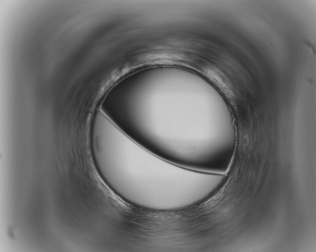 X0000097291384200802151048