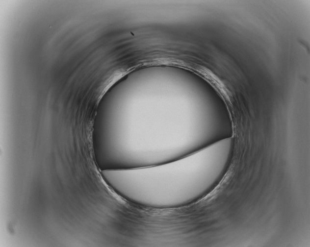 X0000097291385200802151048