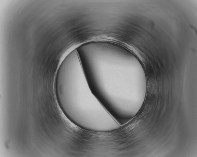 X0000097291387200802151048