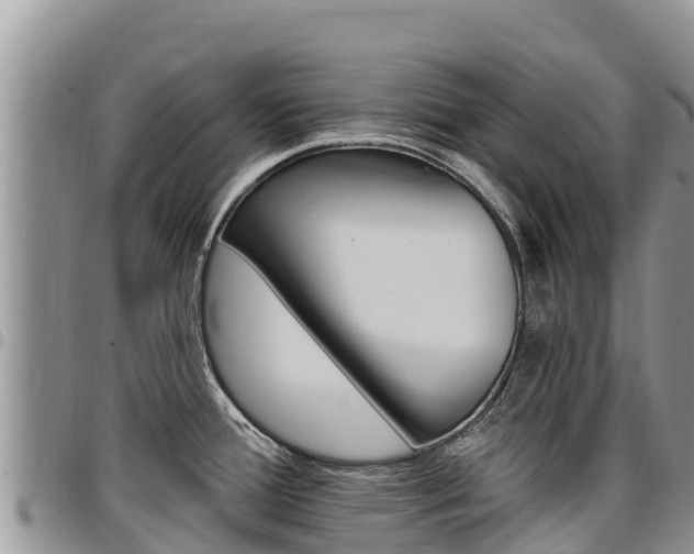 X0000097291388200802151048