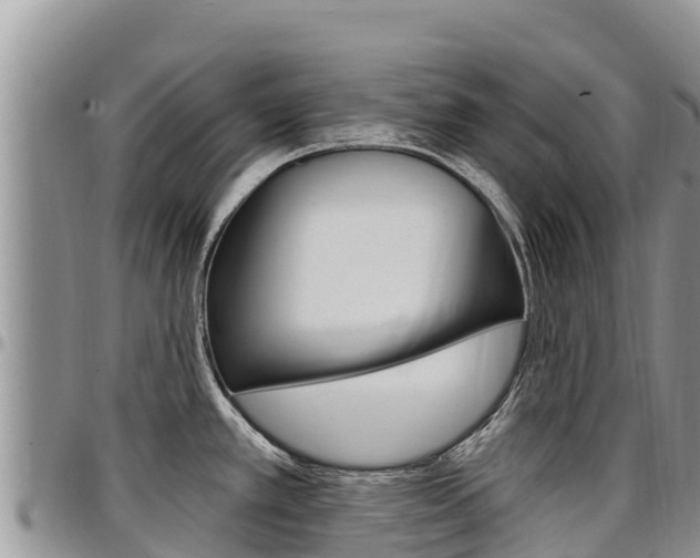 X0000097291389200802151048