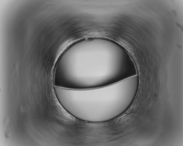 X0000097291392200802151048