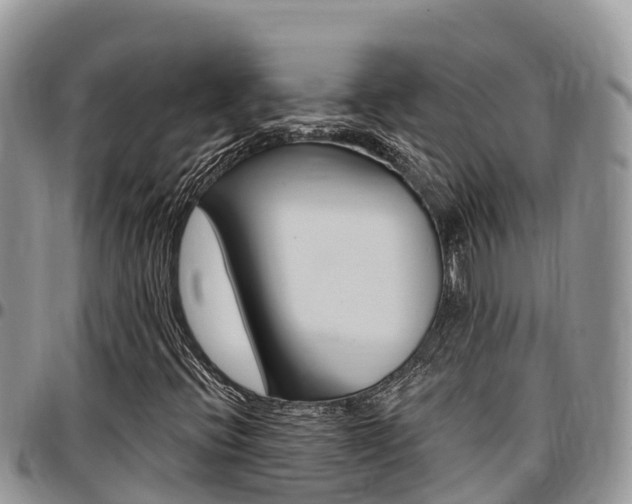 X0000097291396200802151047