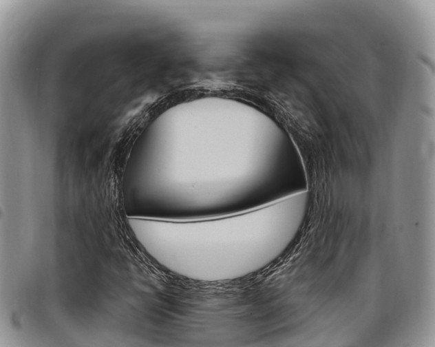 X0000097291398200802151047