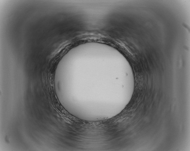 X0000097291399200802151047
