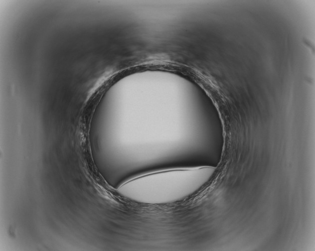 X0000097291400200802151047