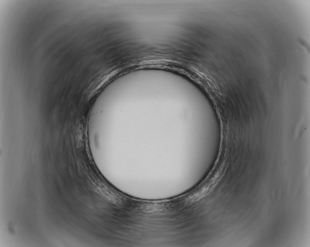X0000097291401200802151047