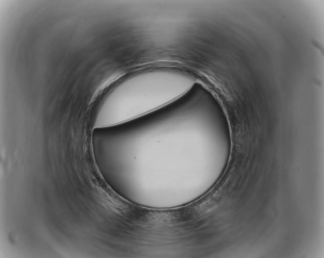 X0000097291402200802151047