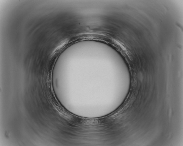 X0000097291403200802151047