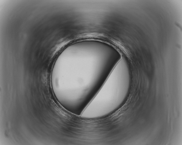 X0000097291404200802151047