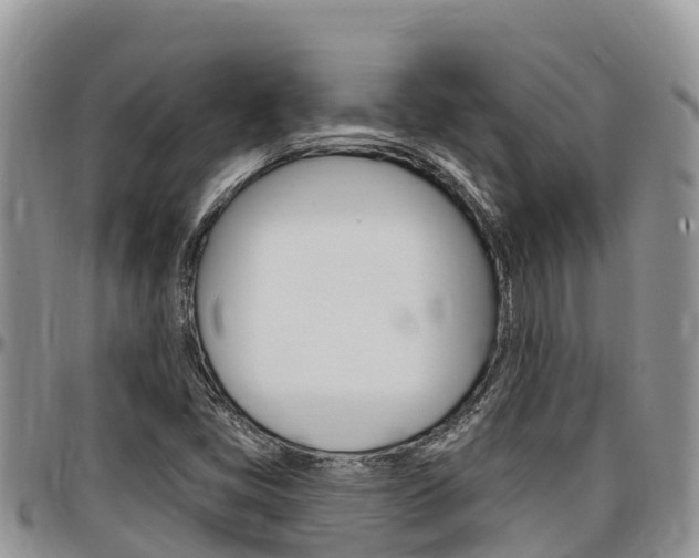 X0000097291405200802151047