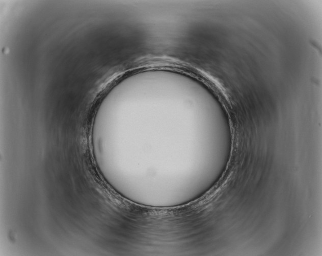X0000097291407200802151047