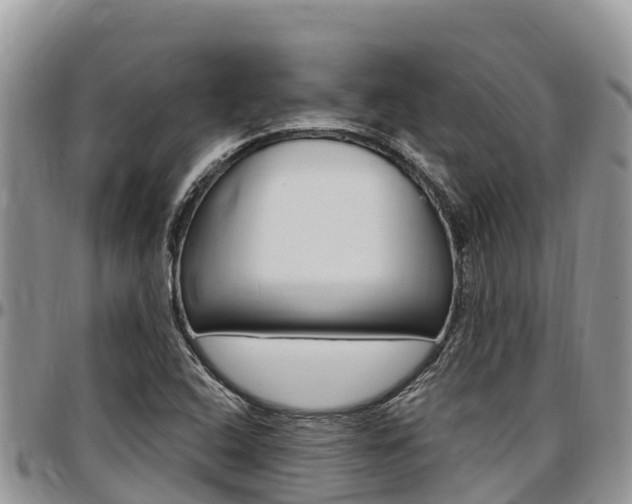 X0000097291408200802151048