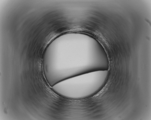 X0000097291409200802151048