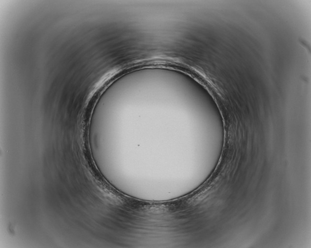 X0000097291410200802151048