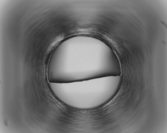 X0000097291411200802151048